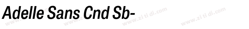 Adelle Sans Cnd Sb字体转换